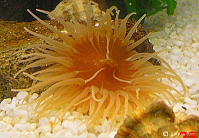 Фото Маленький кусочек моря (photo#156983)