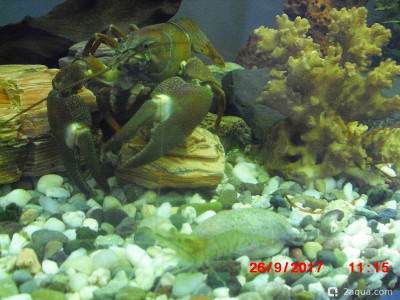 Фото Маленький кусочек моря (photo#156984)