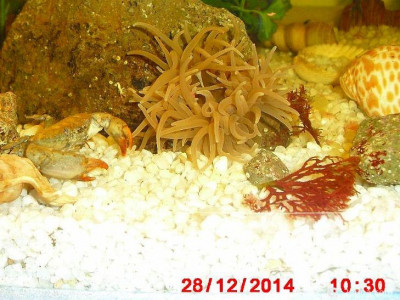 Фото Маленький кусочек моря (photo#156985)