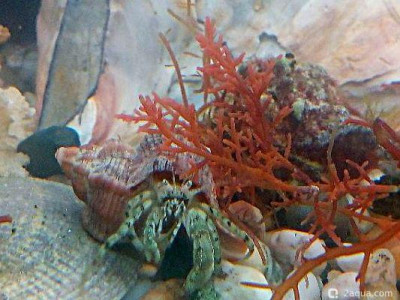 Фото Маленький кусочек моря (photo#156986)