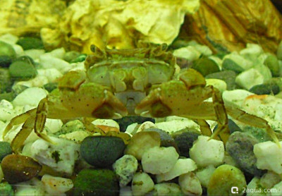 Фото Маленький кусочек моря (photo#156988)