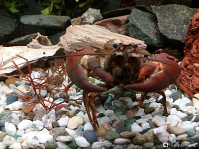 Фото Маленький кусочек моря (photo#156990)