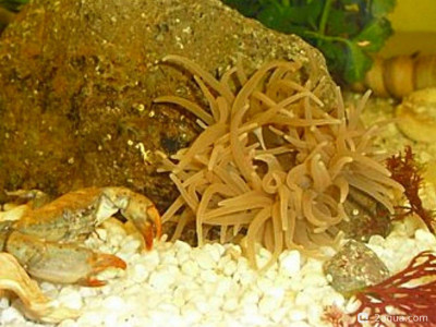 Фото Маленький кусочек моря (photo#156991)