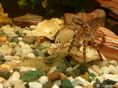 Фото Маленький кусочек моря (photo#156992)