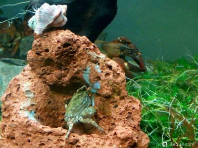 Фото Маленький кусочек моря (photo#156994)