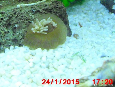 Фото Маленький кусочек моря (photo#156995)