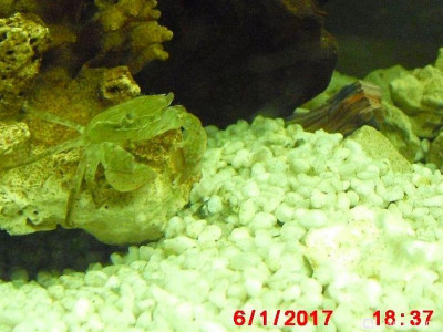 Фото Маленький кусочек моря (photo#156998)