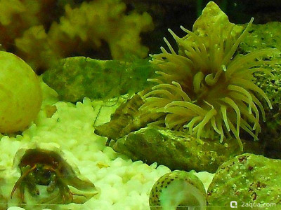 Фото Маленький кусочек моря (photo#157000)