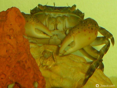 Фото Маленький кусочек моря (photo#157001)