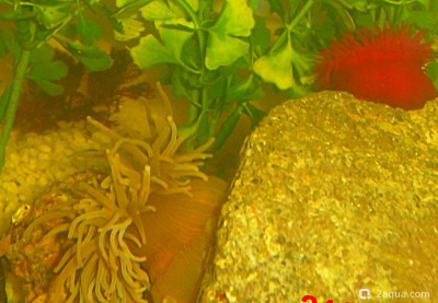 Фото Маленький кусочек моря (photo#157002)