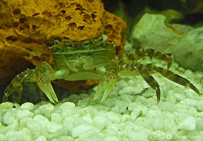 Фото Маленький кусочек моря (photo#157003)