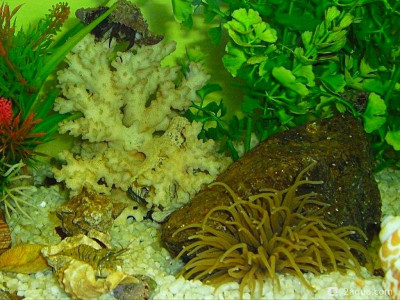 Фото Маленький кусочек моря (photo#157004)