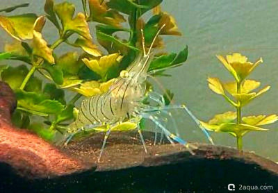 Фото Маленький кусочек моря (photo#157005)