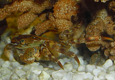 Фото Маленький кусочек моря (photo#157006)