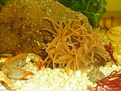 Фото Маленький кусочек моря (photo#157008)