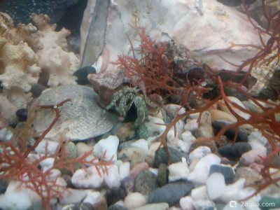 Фото Маленький кусочек моря (photo#157009)