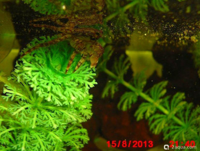 Фото Маленький кусочек моря (photo#157010)