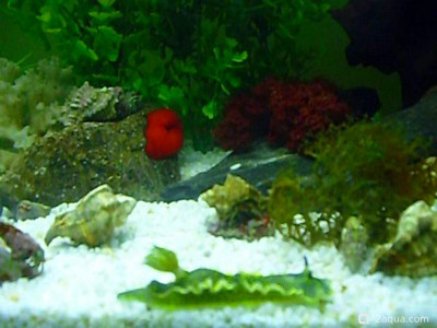 Фото Маленький кусочек моря (photo#157011)