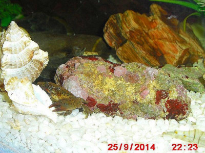 Фото Маленький кусочек моря (photo#157013)