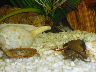 Фото Маленький кусочек моря (photo#157014)