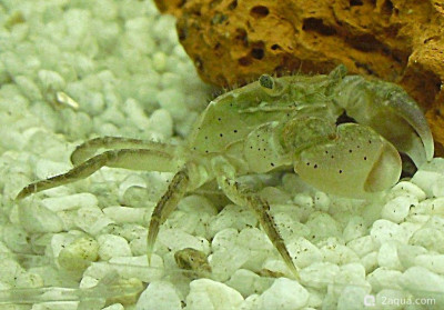 Фото Маленький кусочек моря (photo#157015)