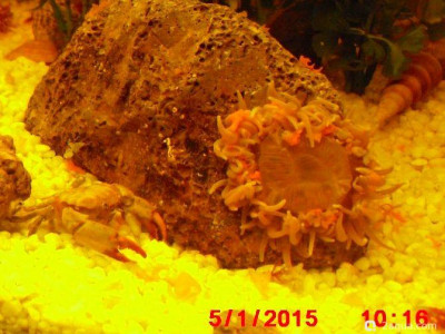 Фото Маленький кусочек моря (photo#157016)