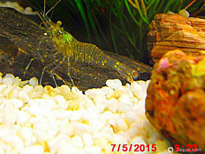 Фото Маленький кусочек моря (photo#157017)