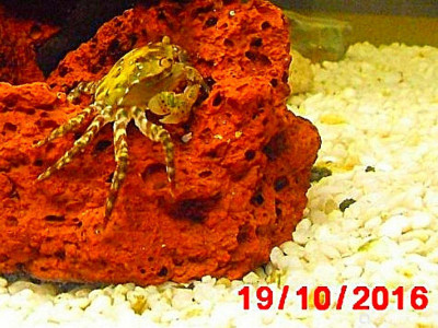 Фото Маленький кусочек моря (photo#157018)