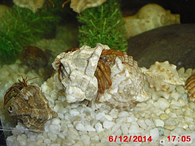 Фото Маленький кусочек моря (photo#157019)