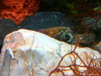 Фото Маленький кусочек моря (photo#157020)