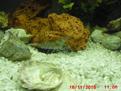 Фото Маленький кусочек моря (photo#157021)