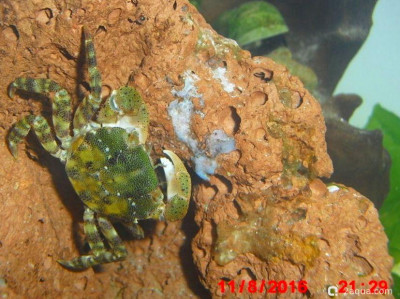 Фото Маленький кусочек моря (photo#157022)