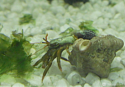 Фото Маленький кусочек моря (photo#157023)