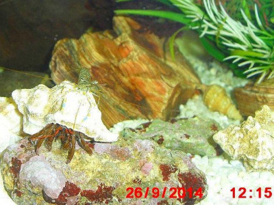 Фото Маленький кусочек моря (photo#157024)