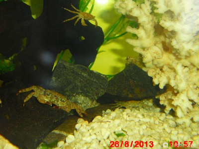 Фото Маленький кусочек моря (photo#157025)