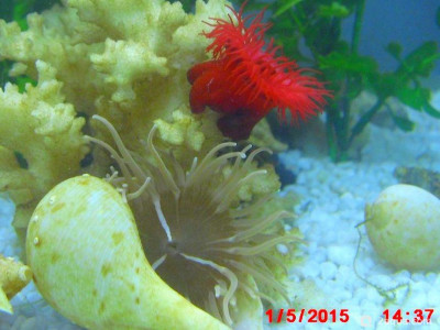 Фото Маленький кусочек моря (photo#157026)