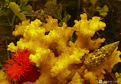 Фото Маленький кусочек моря (photo#157028)