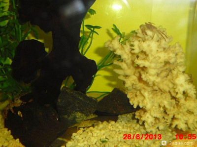 Фото Маленький кусочек моря (photo#157029)