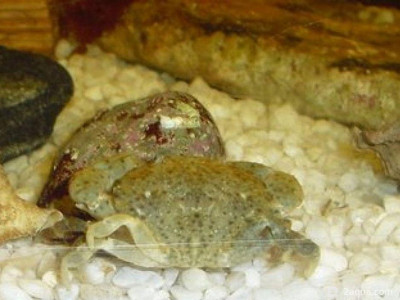 Фото Маленький кусочек моря (photo#157031)