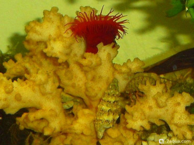 Фото Маленький кусочек моря (photo#157032)