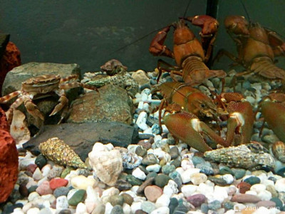 Фото Маленький кусочек моря (photo#157033)