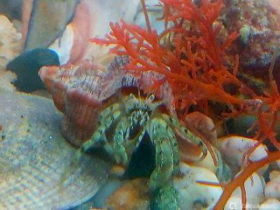 Фото Маленький кусочек моря (photo#157034)