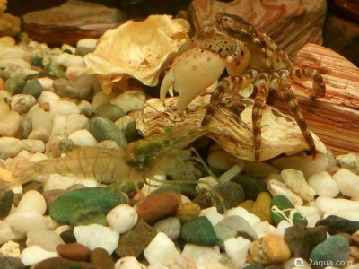 Фото Маленький кусочек моря (photo#157036)