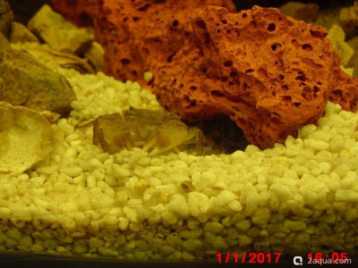 Фото Маленький кусочек моря (photo#157038)