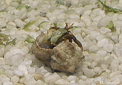 Фото Маленький кусочек моря (photo#157039)