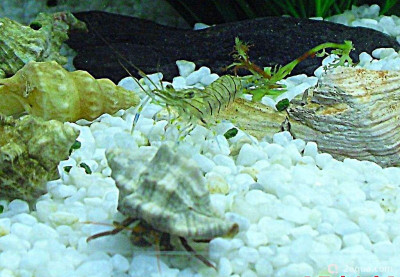 Фото Маленький кусочек моря (photo#157040)