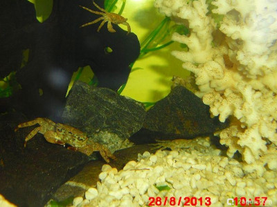 Фото Маленький кусочек моря (photo#157041)