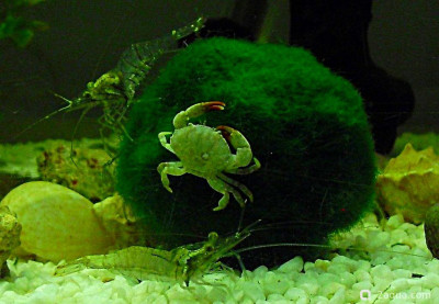 Фото Маленький кусочек моря (photo#157042)