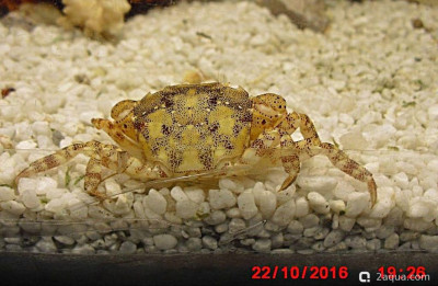 Фото Маленький кусочек моря (photo#157043)