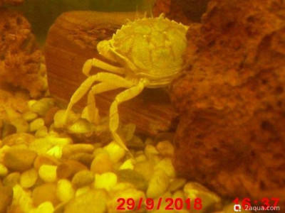 Фото Маленький кусочек моря (photo#157044)